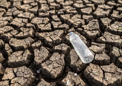 Schimbări climatice