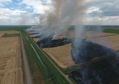 Agricultura intensivă