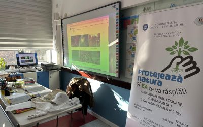 Detectivii de deșeuri de la clasa a IV-a H