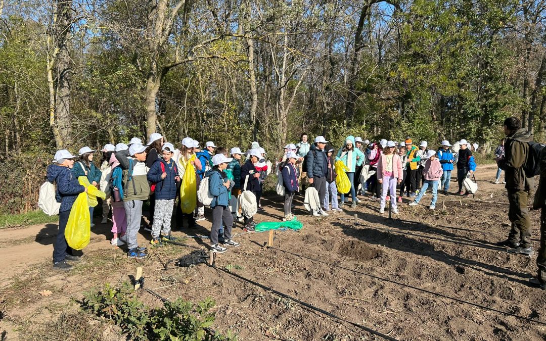 A doua excursie ecologică