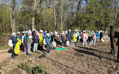 A doua excursie ecologică