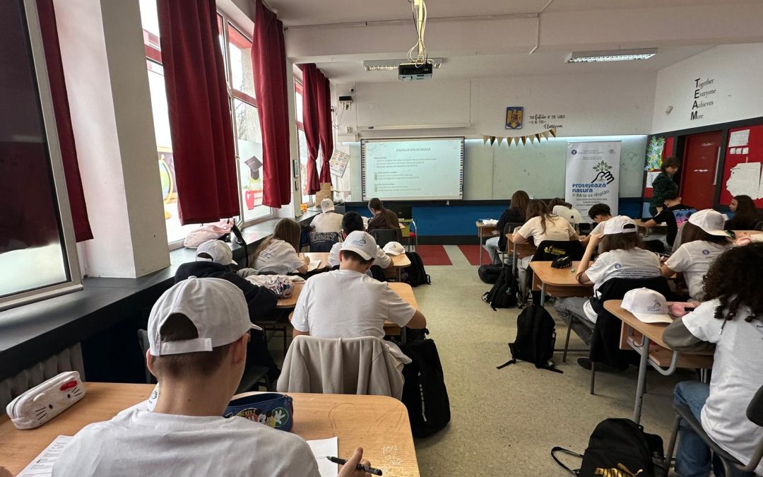 Clasa a VII-a F explorează energiile regenerabile