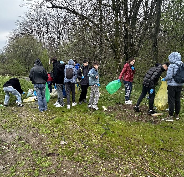 Clasa a VII-a C în acțiune pentru natură