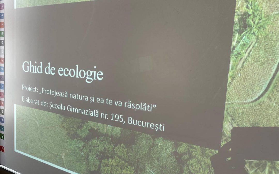 Elevii clasei a VII-a D au finalizat Ghidul